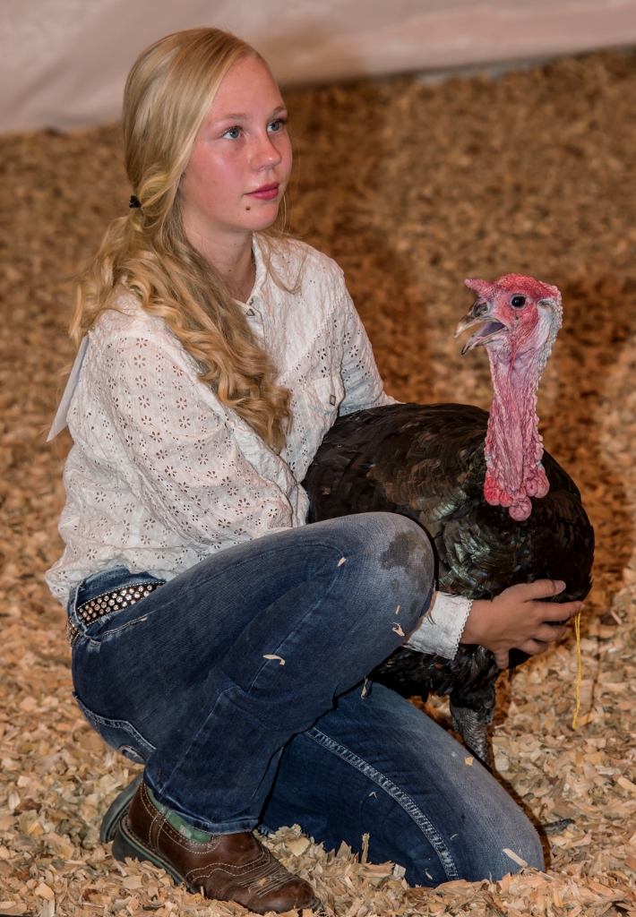 9ce678_829526f11cab4aeaaeee47fc47c9a0ac~mv2