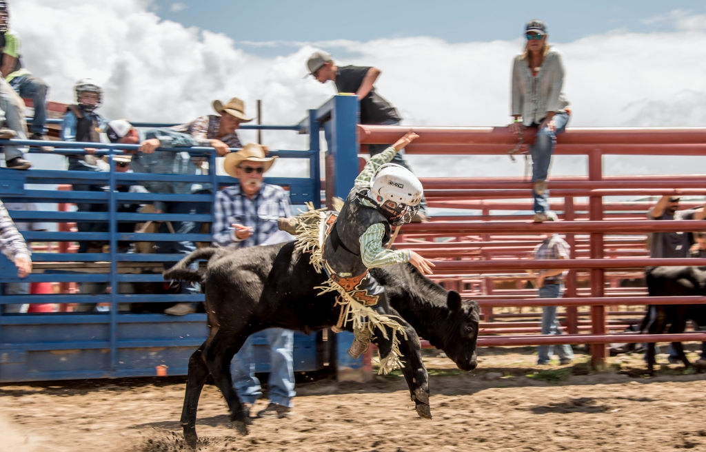 9ce678_94a0e15d1c9b4015b9de50e09f507ca0~mv2