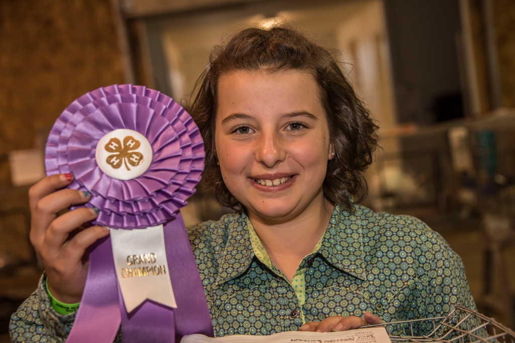 9ce678_b50b1fff41f14fa0a6d32547496cdd9b~mv2