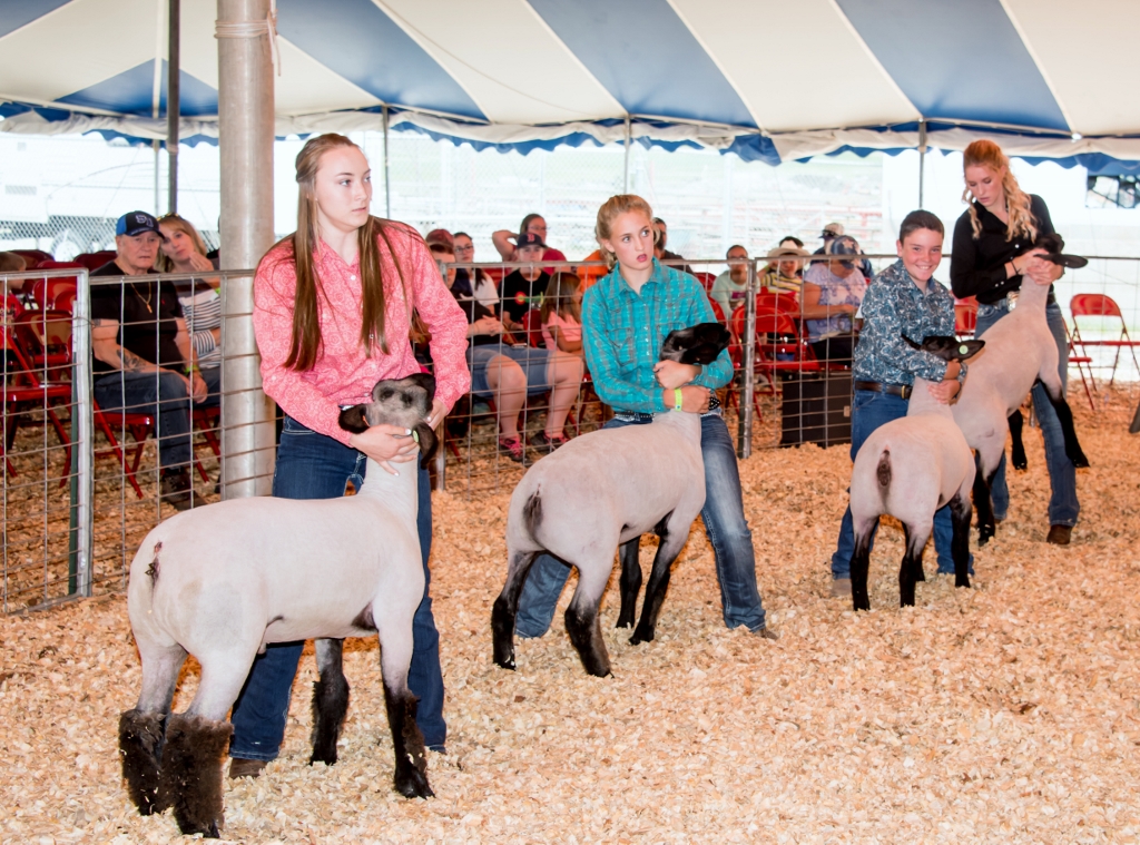 9ce678_bd7930ae4b0a40df8e05c517e87ce7cc~mv2