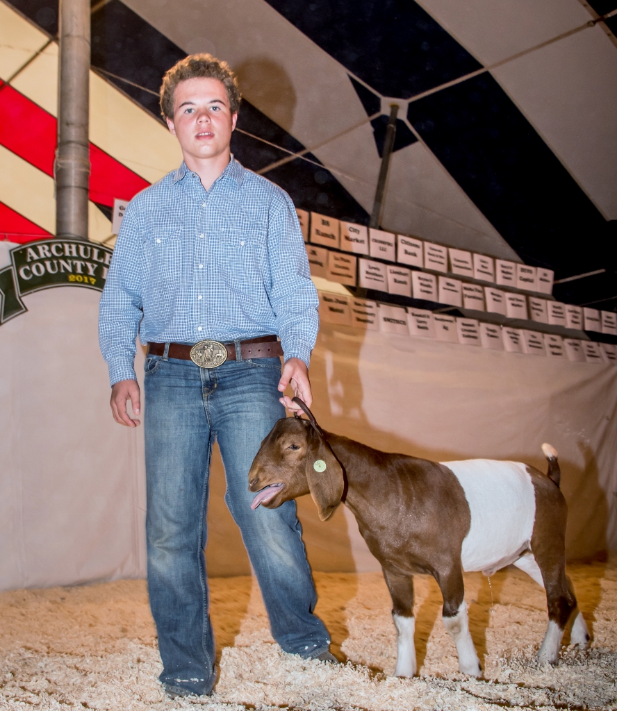 9ce678_ccce86d5373e445ebb229d0e709433d9~mv2