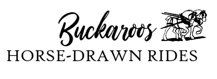 Buckaroos with horse logo 1