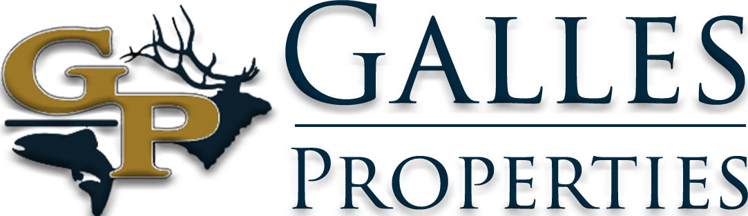 GallesPropertiesLogo2020.Blue .bevel  1