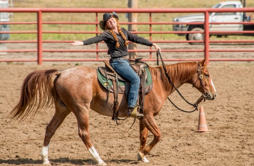Horseback rider in the sun
