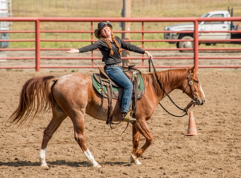 Horseback rider in the sun