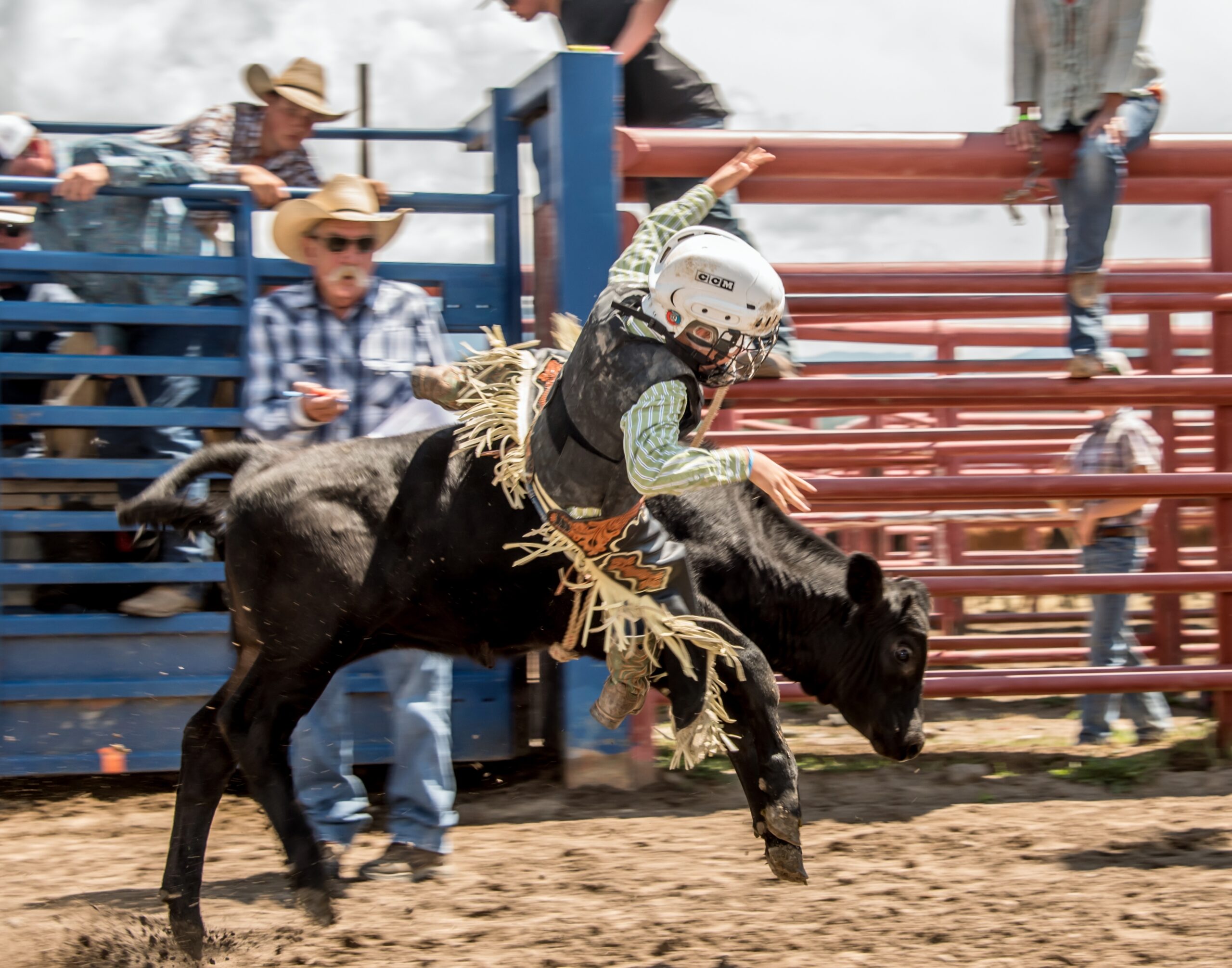 Kids' Rodeo bucking rider