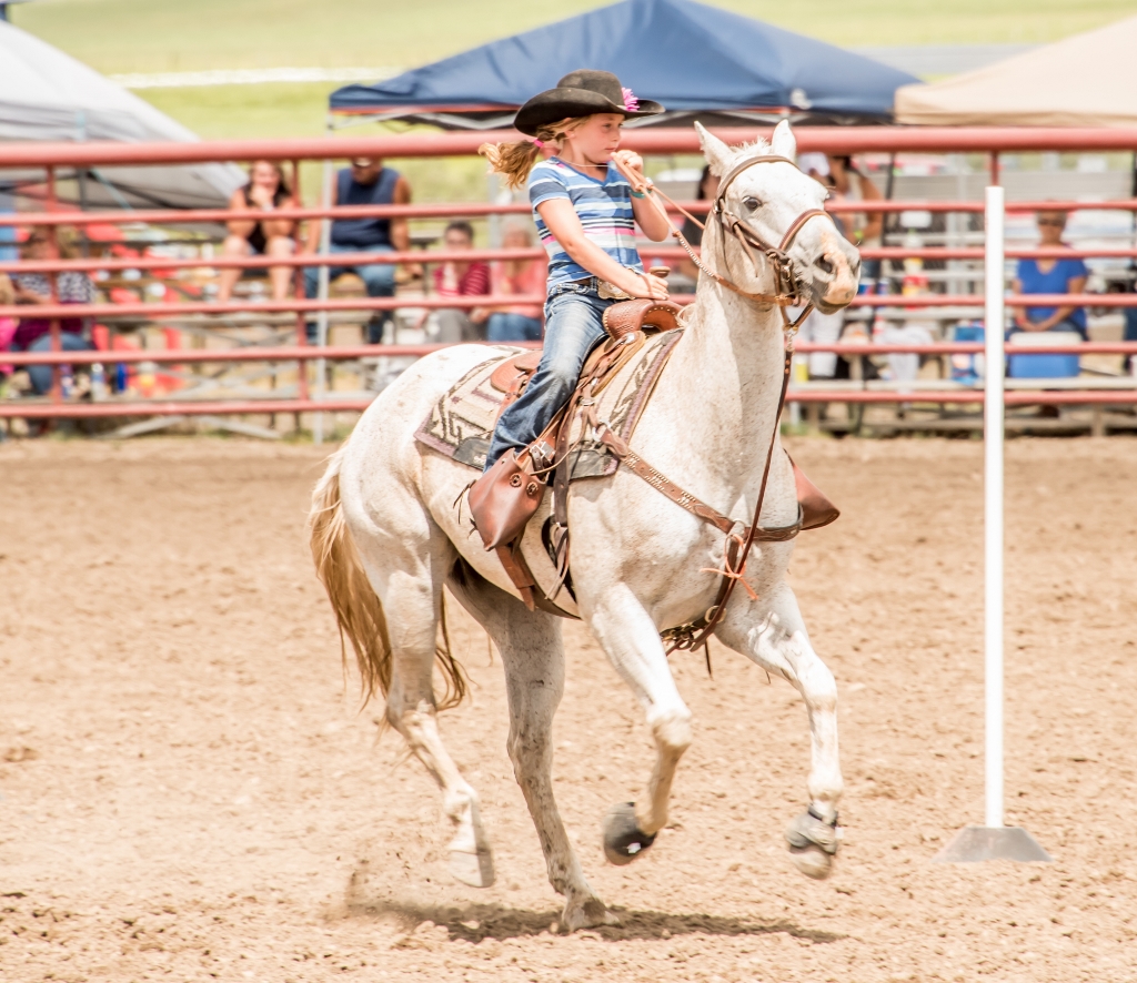 Kids' Rodeo horseback rider