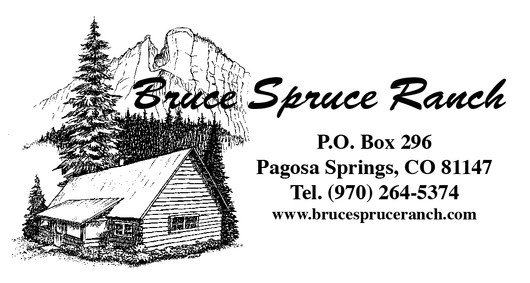 BSR Logo w address
